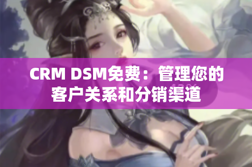 CRM DSM免费：管理您的客户关系和分销渠道