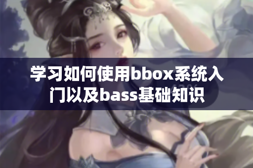 学习如何使用bbox系统入门以及bass基础知识