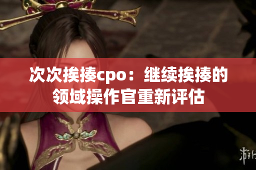 次次挨揍cpo：继续挨揍的领域操作官重新评估