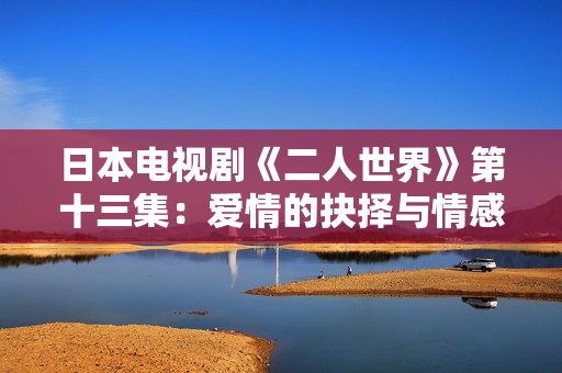 日本电视剧《二人世界》第十三集：爱情的抉择与情感的升华