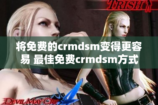 将免费的crmdsm变得更容易 最佳免费crmdsm方式浏览