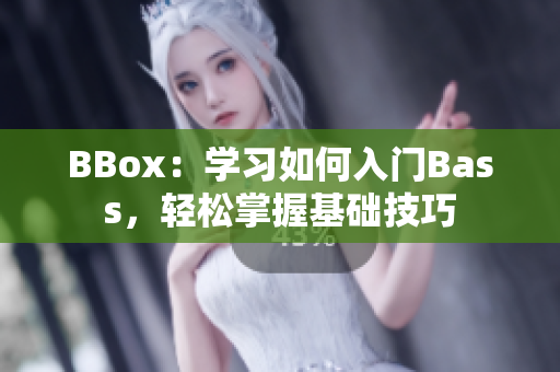 BBox：学习如何入门Bass，轻松掌握基础技巧