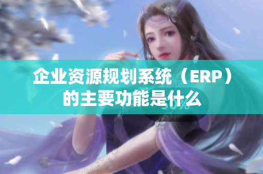 企业资源规划系统（ERP）的主要功能是什么